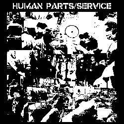 S/T